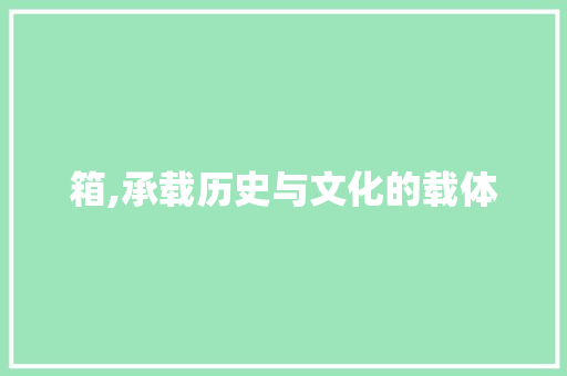 箱,承载历史与文化的载体