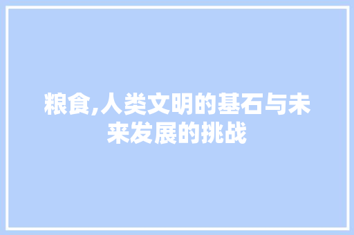 粮食,人类文明的基石与未来发展的挑战