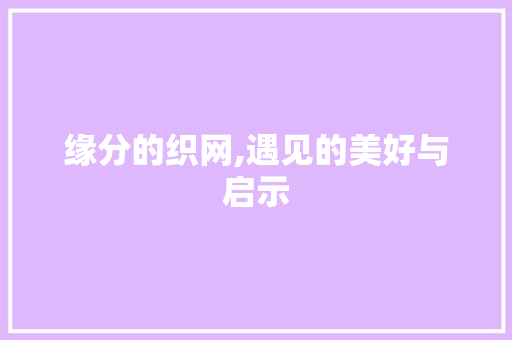 缘分的织网,遇见的美好与启示