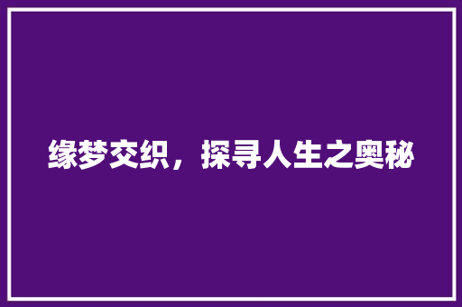 缘梦交织，探寻人生之奥秘