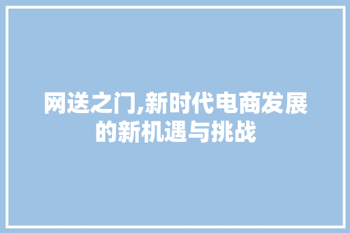 网送之门,新时代电商发展的新机遇与挑战