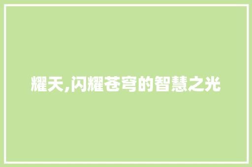 耀天,闪耀苍穹的智慧之光