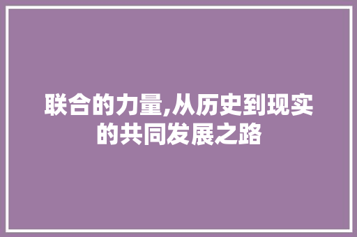 联合的力量,从历史到现实的共同发展之路