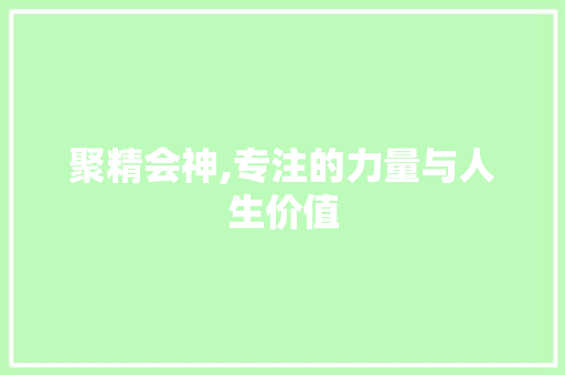 聚精会神,专注的力量与人生价值