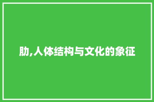 肋,人体结构与文化的象征