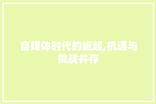 自媒体时代的崛起,机遇与挑战并存