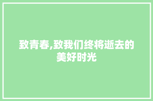 致青春,致我们终将逝去的美好时光