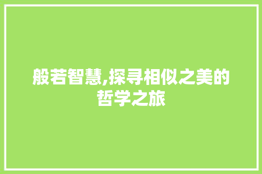 般若智慧,探寻相似之美的哲学之旅