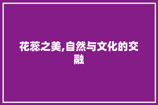 花蕊之美,自然与文化的交融