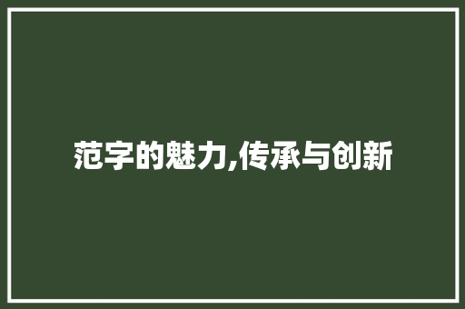范字的魅力,传承与创新
