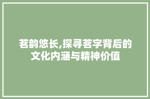 茗韵悠长,探寻茗字背后的文化内涵与精神价值