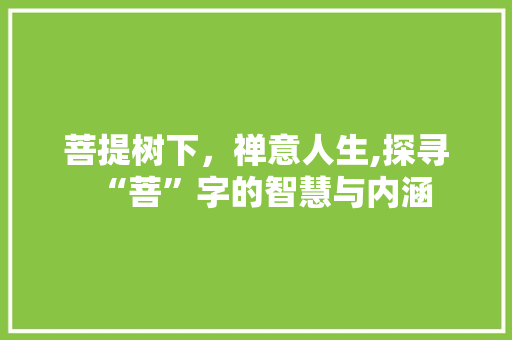 菩提树下，禅意人生,探寻“菩”字的智慧与内涵