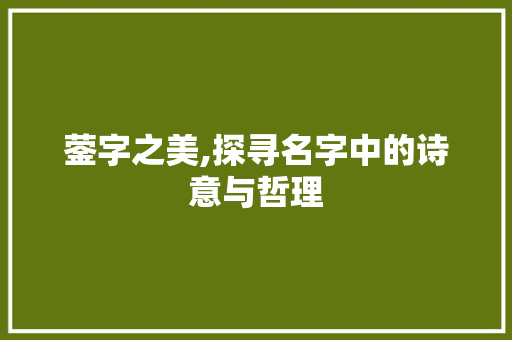 蓥字之美,探寻名字中的诗意与哲理