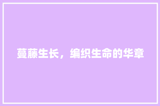 蔓藤生长，编织生命的华章