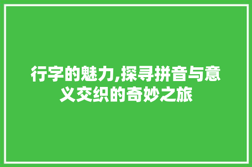 行字的魅力,探寻拼音与意义交织的奇妙之旅