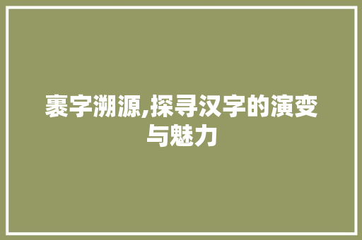 裹字溯源,探寻汉字的演变与魅力