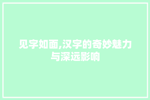 见字如面,汉字的奇妙魅力与深远影响