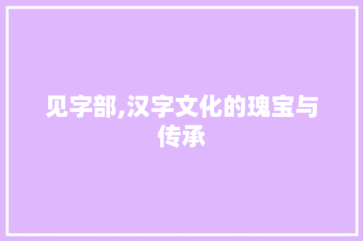 见字部,汉字文化的瑰宝与传承