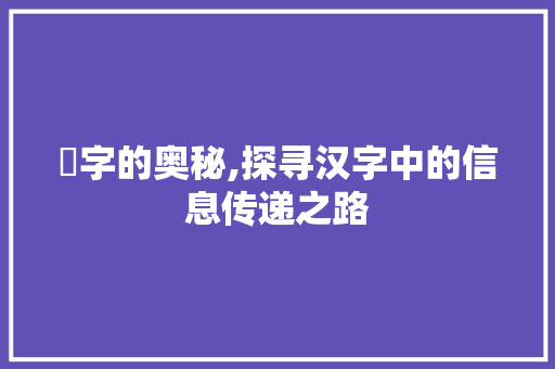 訉字的奥秘,探寻汉字中的信息传递之路