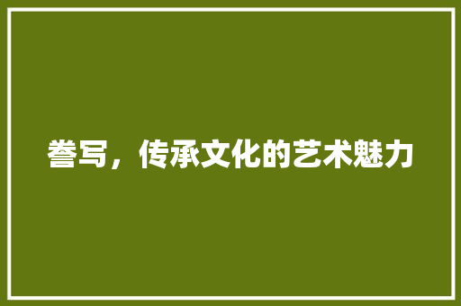 誊写，传承文化的艺术魅力