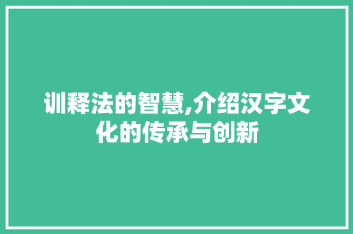 训释法的智慧,介绍汉字文化的传承与创新