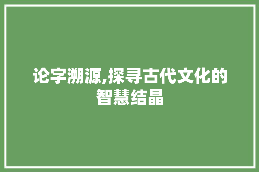 论字溯源,探寻古代文化的智慧结晶