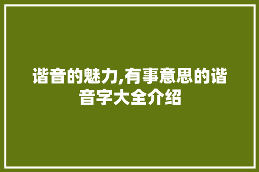 谐音的魅力,有事意思的谐音字大全介绍