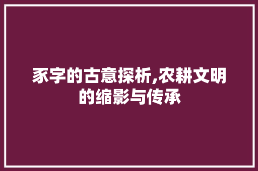 豕字的古意探析,农耕文明的缩影与传承