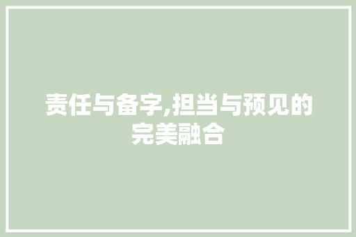 责任与备字,担当与预见的完美融合