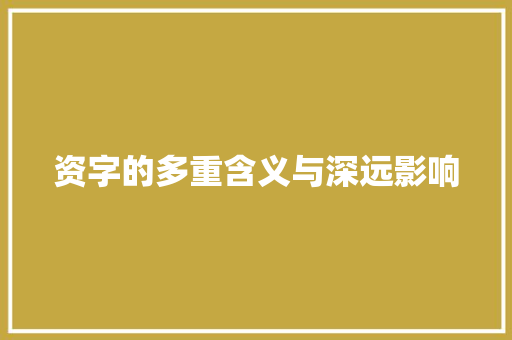 资字的多重含义与深远影响