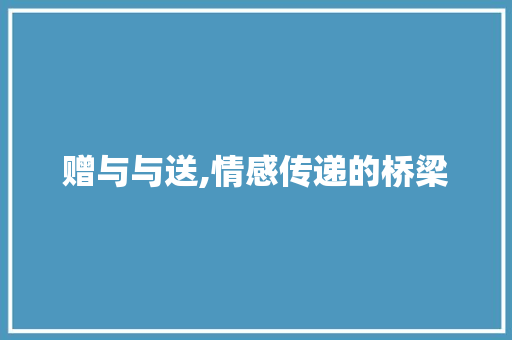 赠与与送,情感传递的桥梁