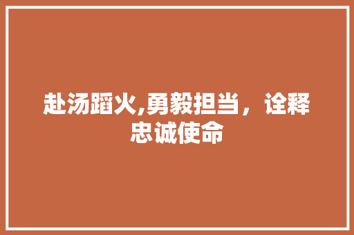 赴汤蹈火,勇毅担当，诠释忠诚使命