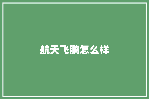 航天飞鹏怎么样