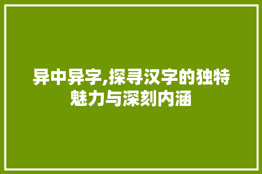 异中异字,探寻汉字的独特魅力与深刻内涵