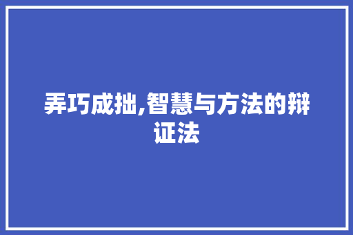 弄巧成拙,智慧与方法的辩证法