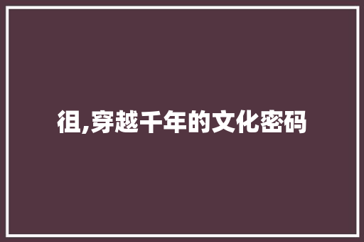 徂,穿越千年的文化密码