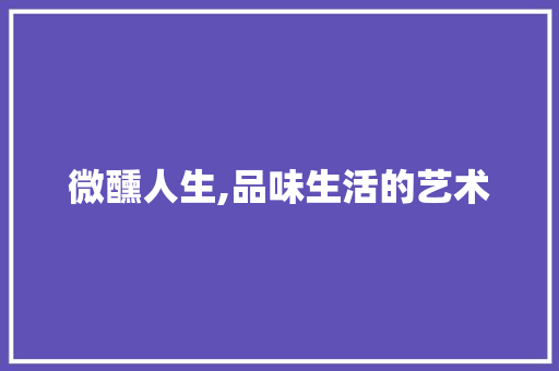 微醺人生,品味生活的艺术