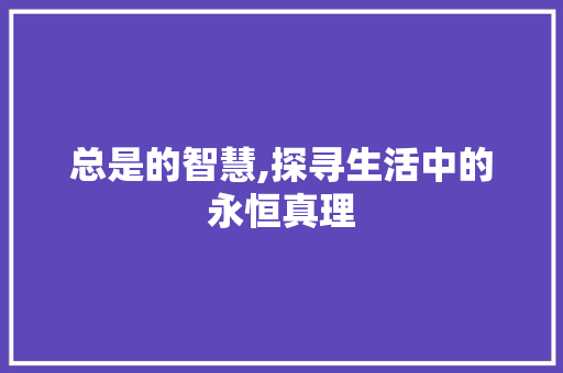总是的智慧,探寻生活中的永恒真理