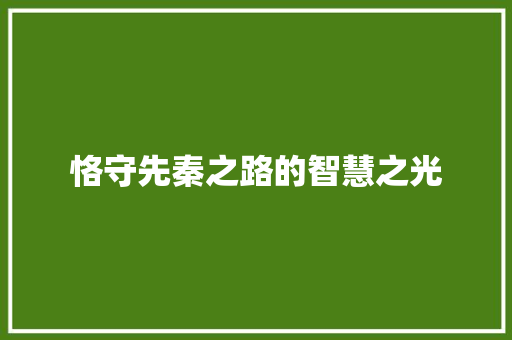 恪守先秦之路的智慧之光