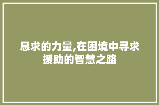 恳求的力量,在困境中寻求援助的智慧之路