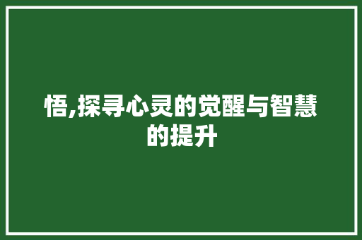 悟,探寻心灵的觉醒与智慧的提升
