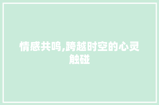 情感共鸣,跨越时空的心灵触碰