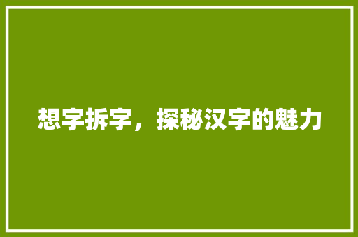 想字拆字，探秘汉字的魅力