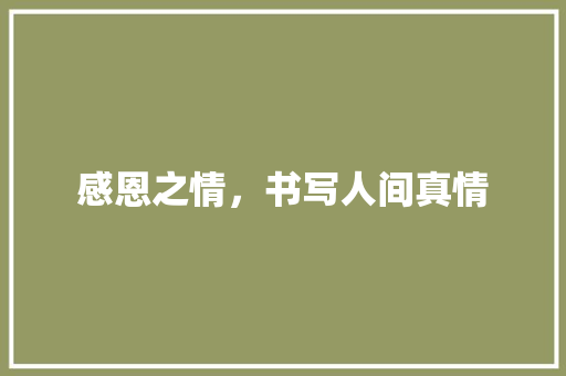 感恩之情，书写人间真情