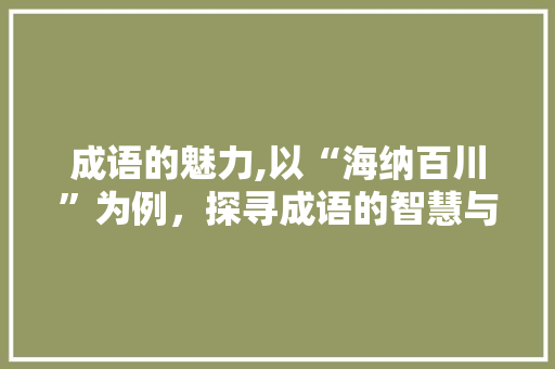 成语的魅力,以“海纳百川”为例，探寻成语的智慧与力量