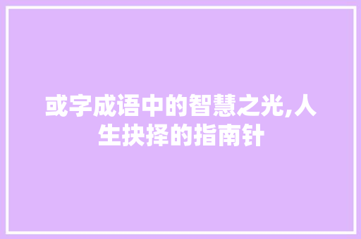 或字成语中的智慧之光,人生抉择的指南针