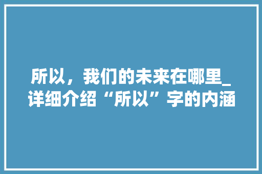 所以，我们的未来在哪里_详细介绍“所以”字的内涵与价值