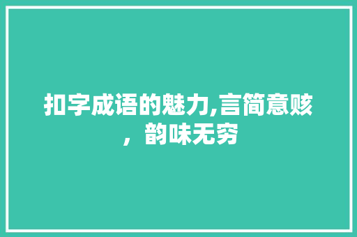 扣字成语的魅力,言简意赅，韵味无穷