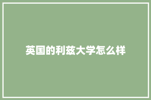 英国的利兹大学怎么样