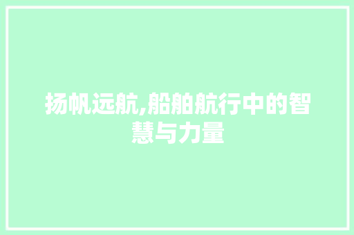 扬帆远航,船舶航行中的智慧与力量